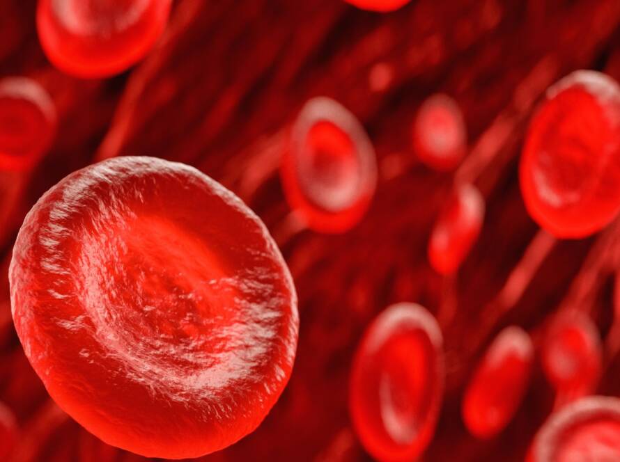 Protegiendo las células.