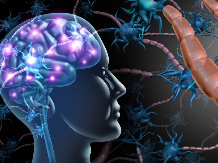 Apoyo a las células de nuestro cuerpo