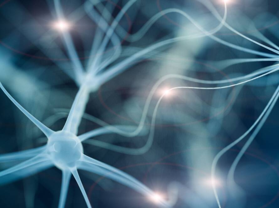 Conocimiento de nuestro cuerpo.