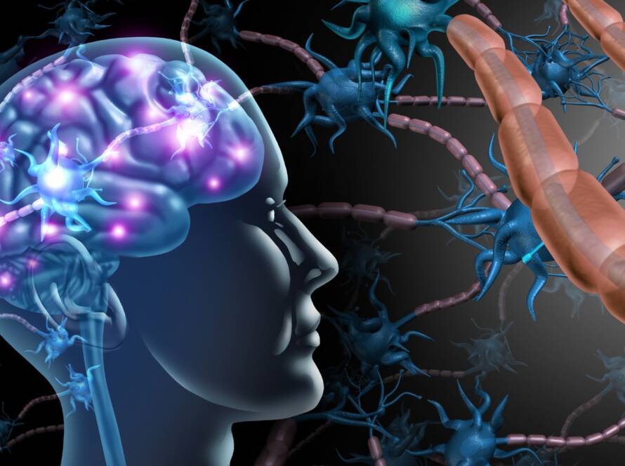 Refuerza tu sistema.